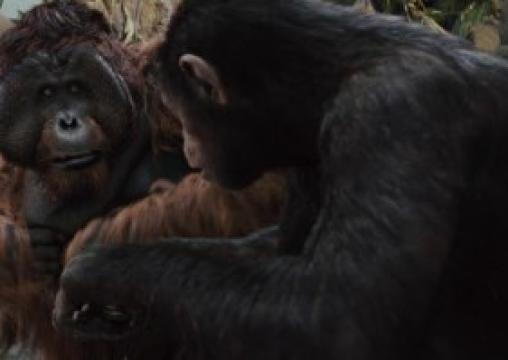 فيلم Rise of the Planet of the Apes 2011 مترجم HD