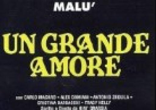 فيلم Un grande amore 1995 مترجم