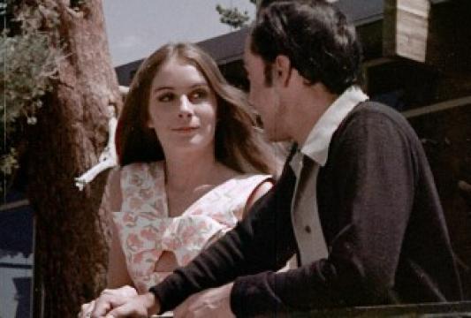 فيلم Sex and the Lonely Woman 1972 مترجم كامل
