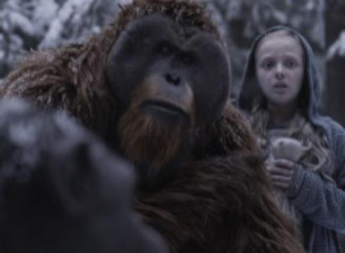 فيلم War for the Planet of the Apes 2017 مترجم كامل